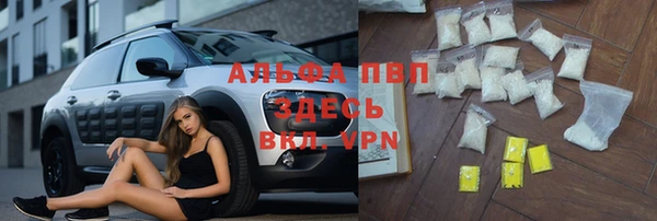 сатива Белоозёрский