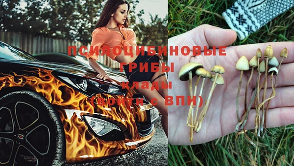 сатива Белоозёрский