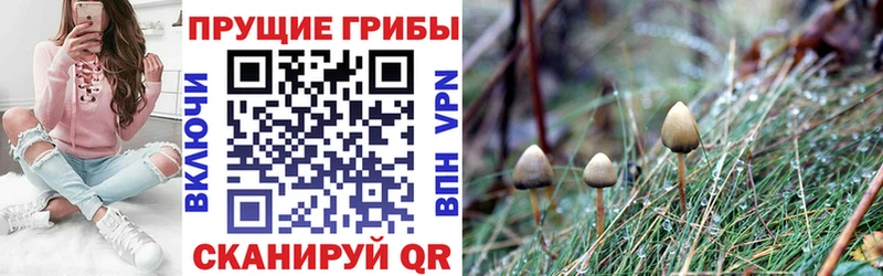 Галлюциногенные грибы GOLDEN TEACHER  купить закладку  Карталы 